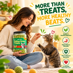 Cat Grass Treats for Indoor Cats Hairball Control