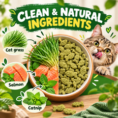 Cat Grass Treats for Indoor Cats Hairball Control