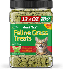 Cat Grass Treats for Indoor Cats Hairball Control