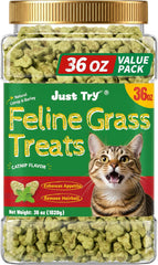 Cat Grass Treats for Indoor Cats Hairball Control