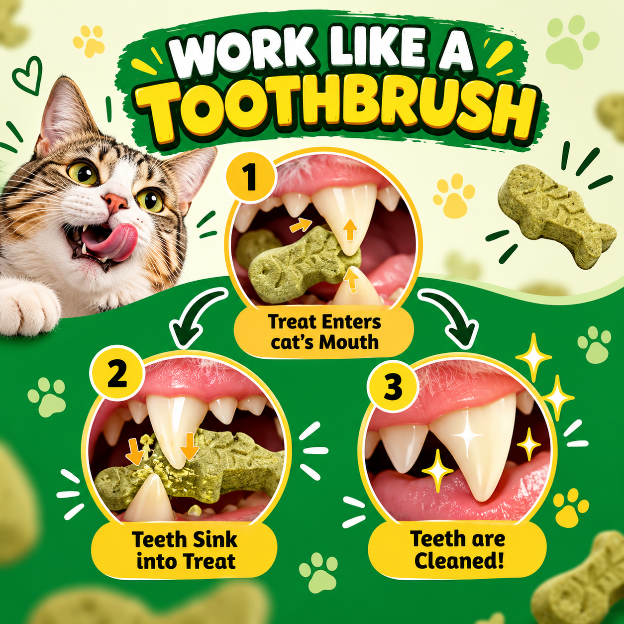 Cat Grass Treats for Indoor Cats Hairball Control