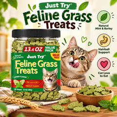 Cat Grass Treats for Indoor Cats Hairball Control