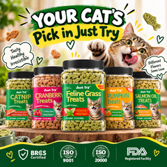 Cat Grass Treats for Indoor Cats Hairball Control
