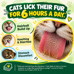 Cat Grass Treats for Indoor Cats Hairball Control