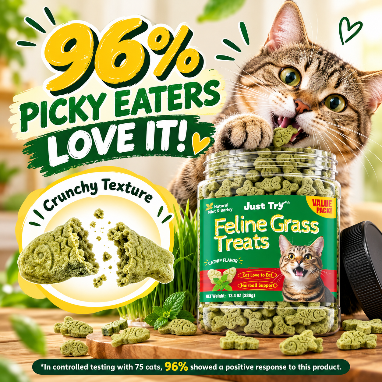 Cat Grass Treats for Indoor Cats Hairball Control