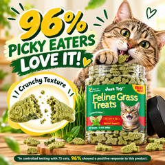 Cat Grass Treats for Indoor Cats Hairball Control